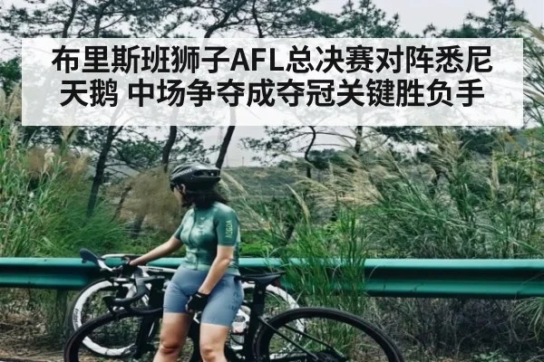 布里斯班狮子AFL总决赛对阵悉尼天鹅 中场争夺成夺冠关键胜负手
